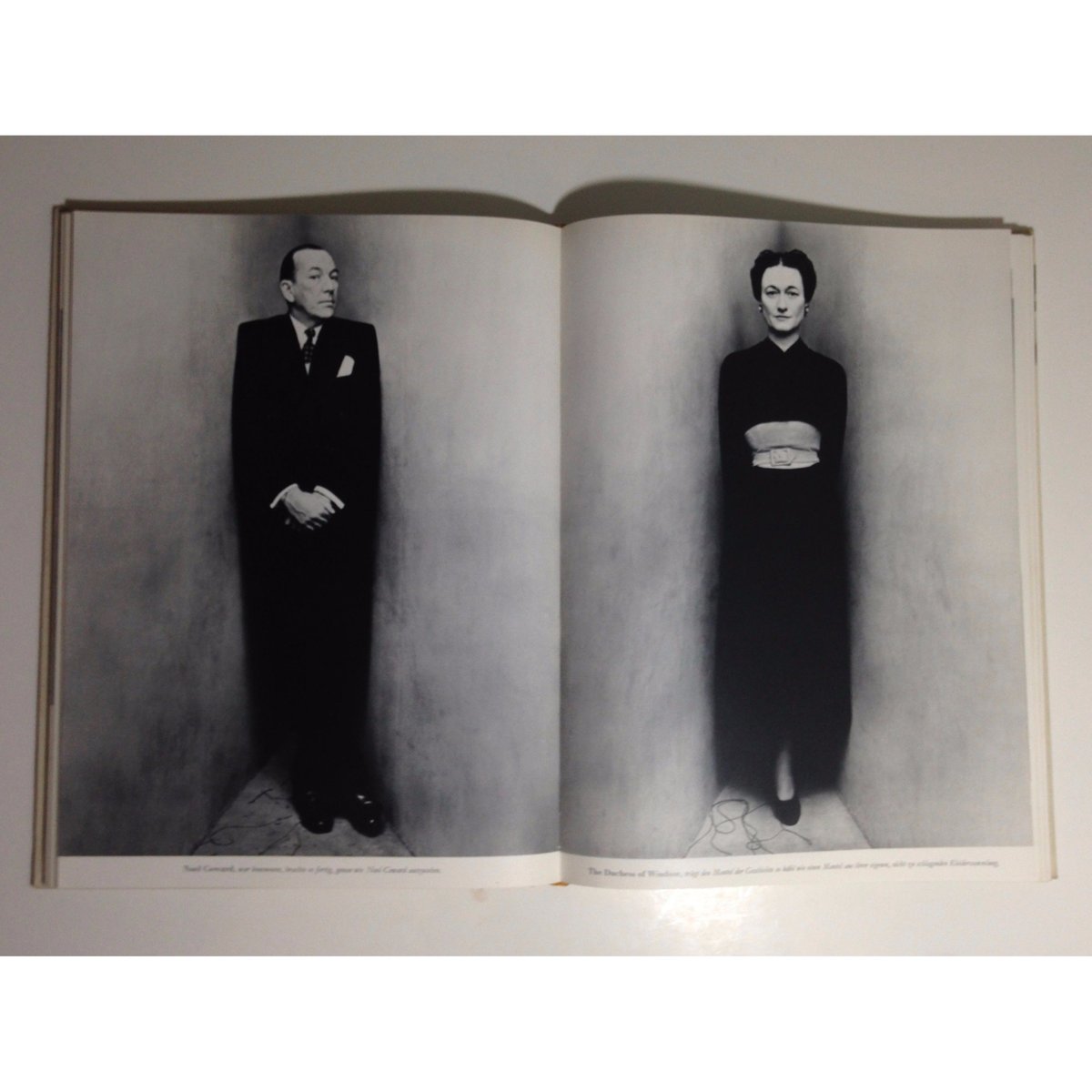 洋書 AUGEN-BLICKE IRVING PENN Augen-Blicke （Moments Preserved ）ドイツ語版 Irving Penn