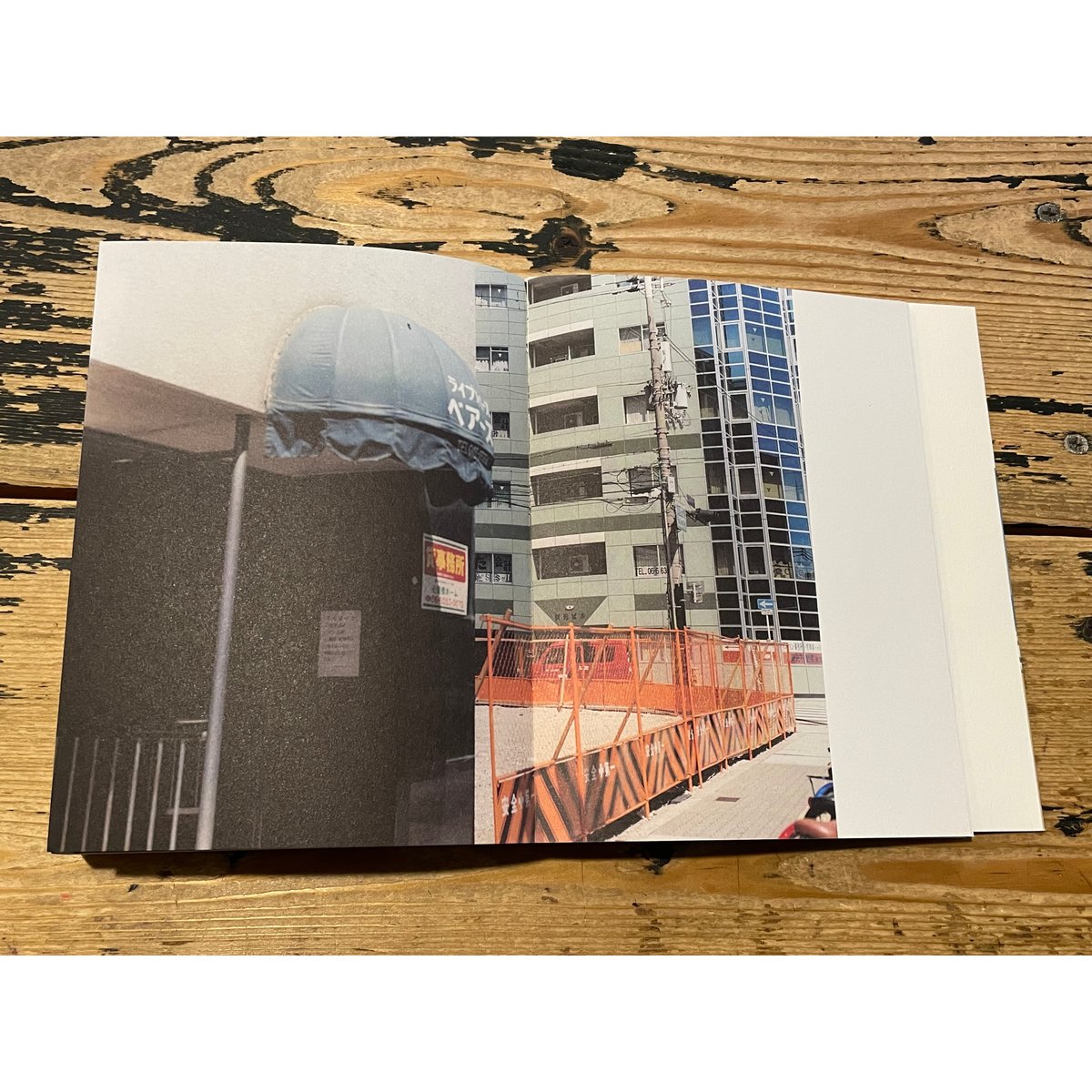 写真がいってかえってきた / 佐内正史 | ホホホ座浄土寺店