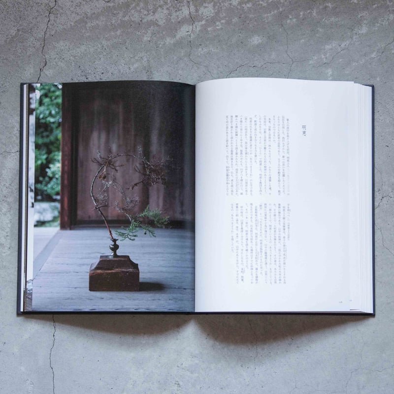 風姿花伝・日本のいけばな 川瀬敏郎 風姿花伝・日本のいけばな 川瀬敏郎