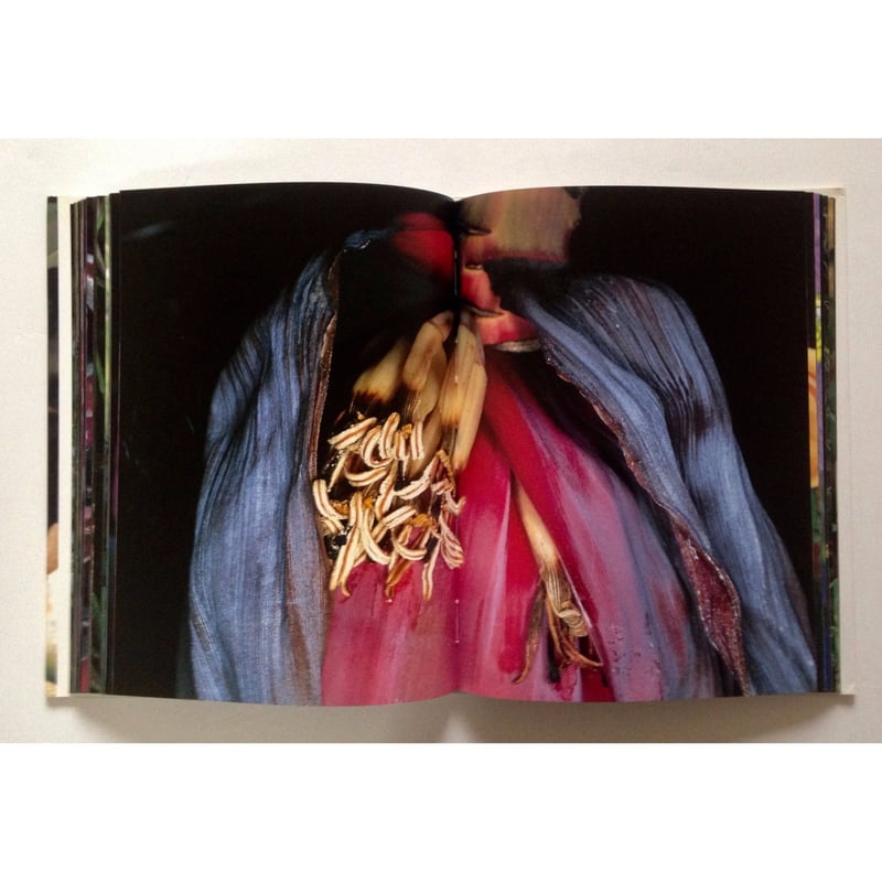 写真集「花曲」　荒木経惟 花曲 荒木経惟 | 古書牛歩