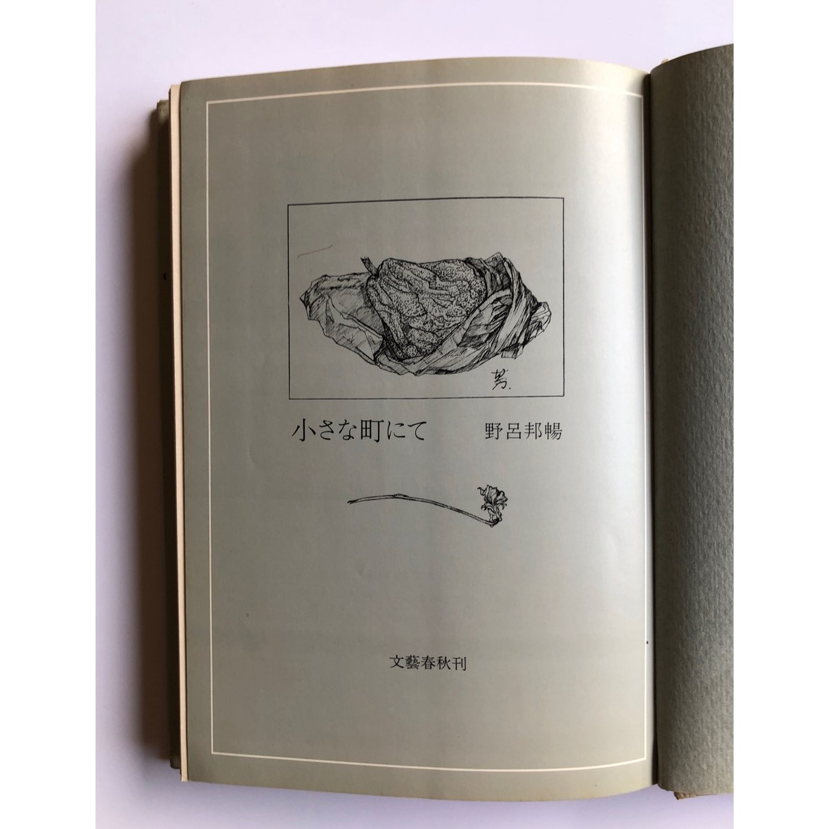 小さな町にて - 野呂邦暢 | ホホホ座浄土寺店