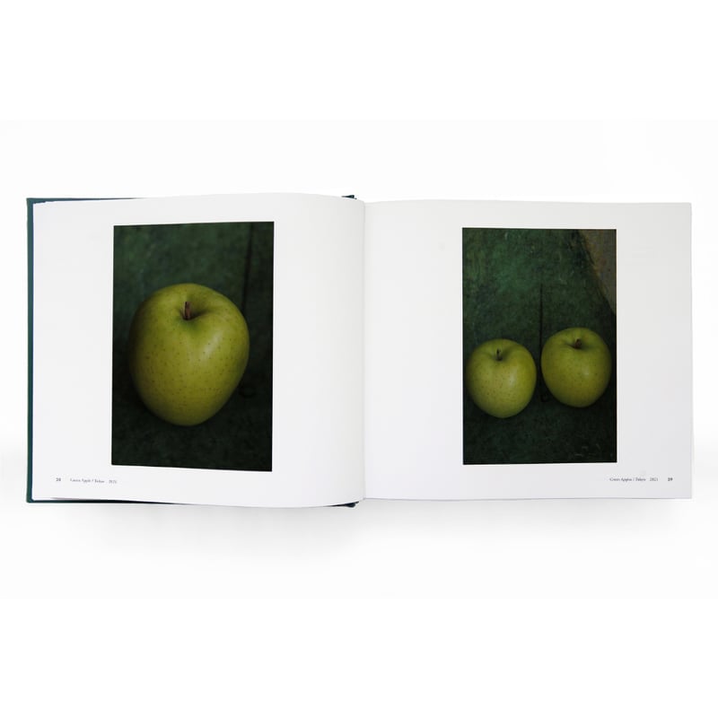 いつも世界は遠く、 / 上田義彦 | ホホホ座浄土寺店