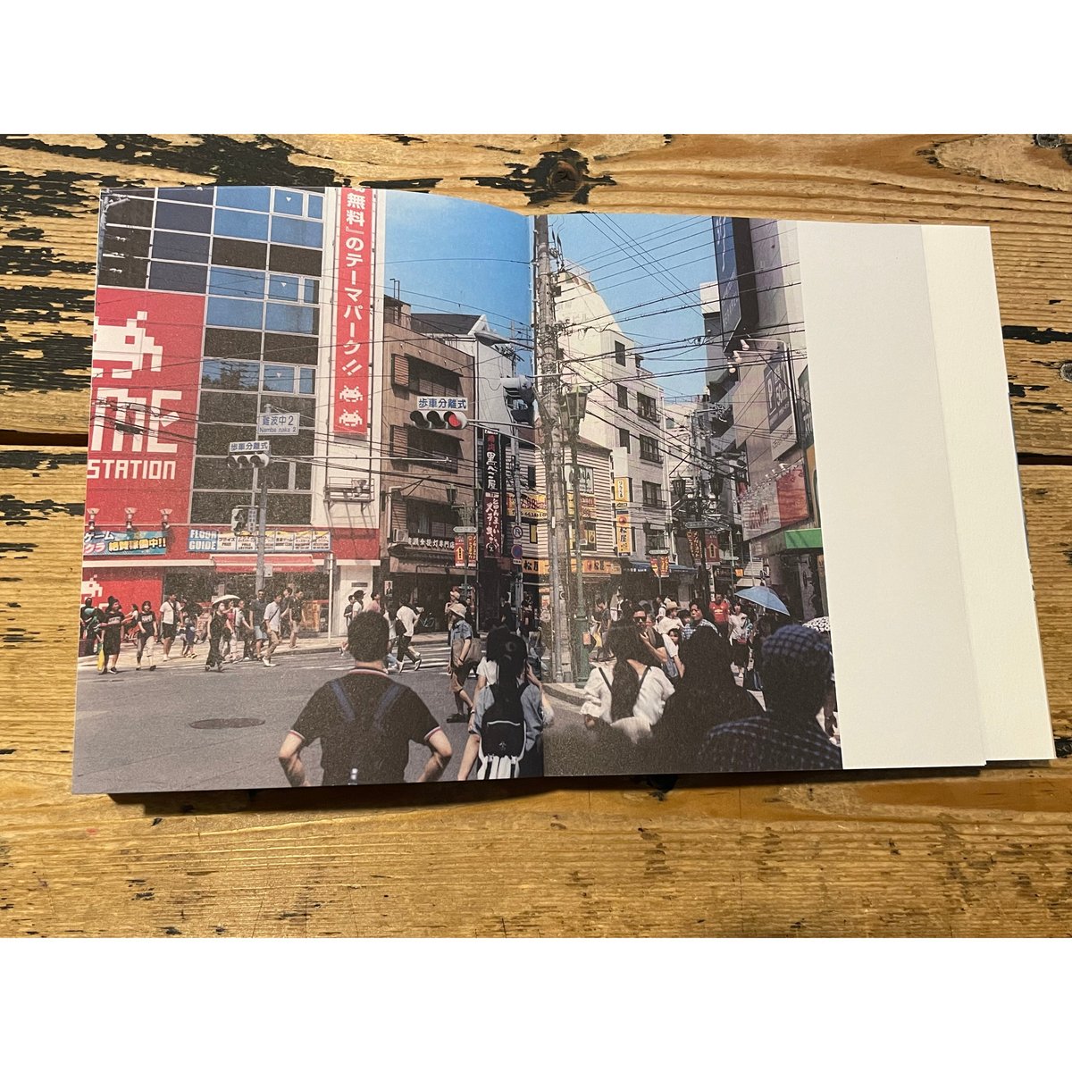 写真がいってかえってきた / 佐内正史 | ホホホ座浄土寺店