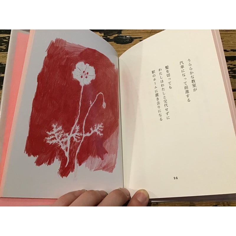 どこにでもあるケーキ／三角みづ紀 | ホホホ座浄土寺店