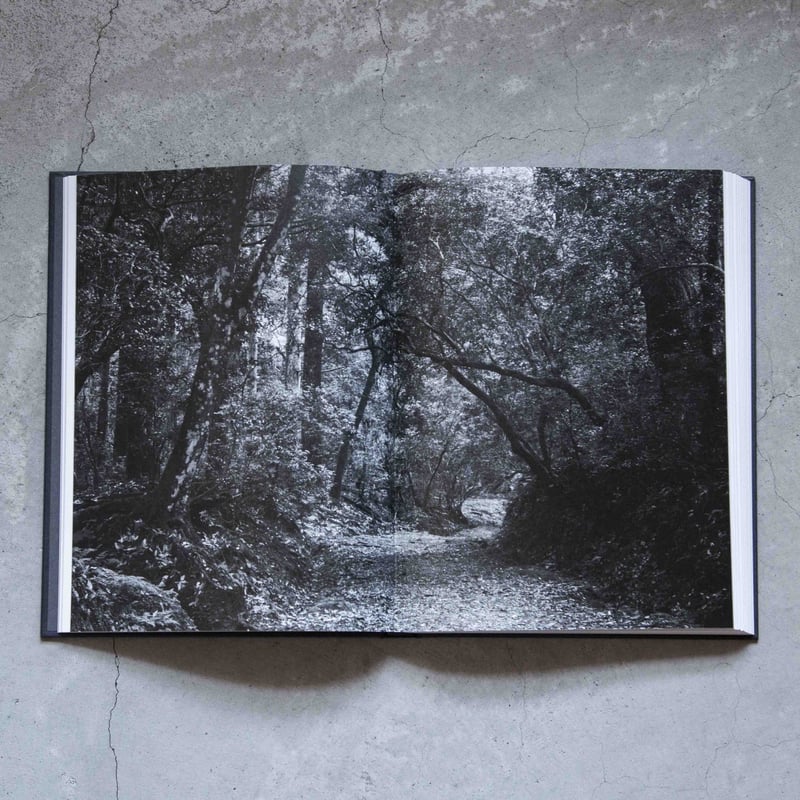 花をたてる / 川瀬敏郎 | ホホホ座浄土寺店