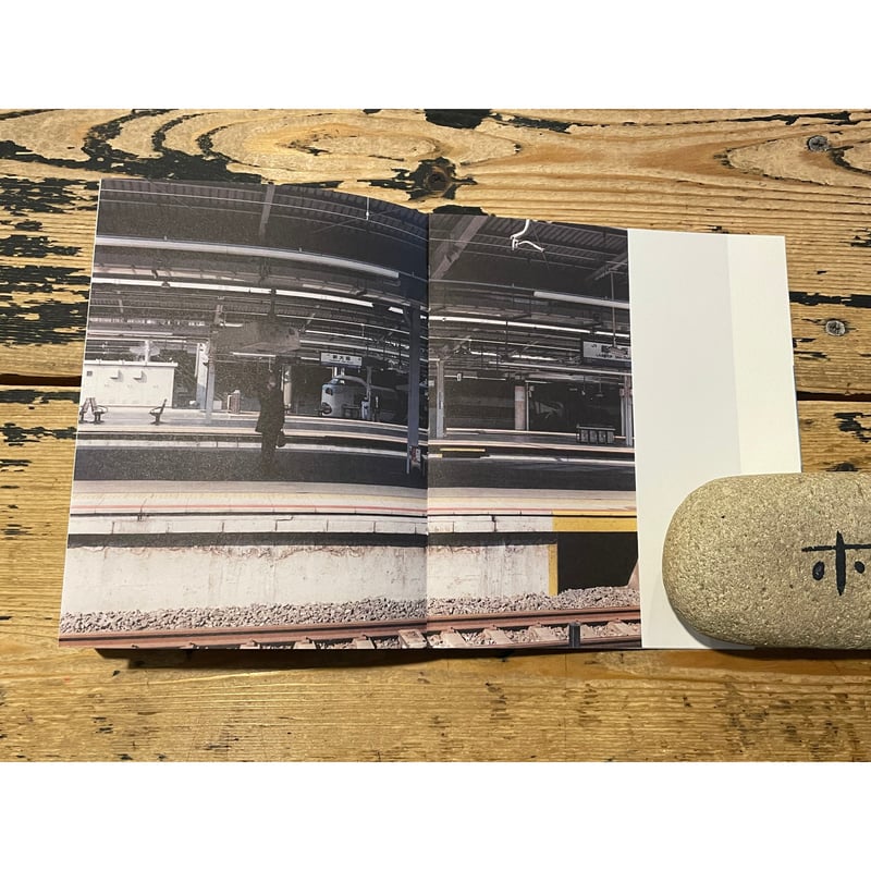 写真がいってかえってきた / 佐内正史 | ホホホ座浄土寺店