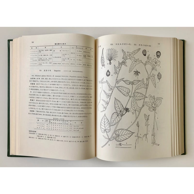 笠原安夫 - 日本雑草図説 | ホホホ座浄土寺店