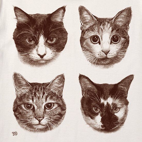 本日のみ‼️キレイ美品✨ 本物 GUCCI ✨可愛い猫ちゃん×ハチ❤Tシャツ GUCCI 猫イラスト Tシャツ 90 - メルカリ