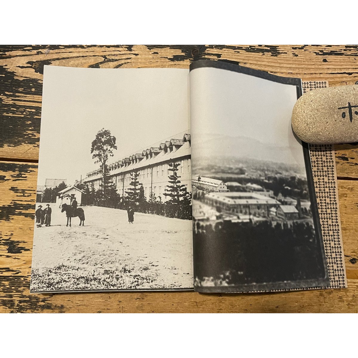 吉田寮学生寄宿舎史 / 野村幹太 | ホホホ座浄土寺店