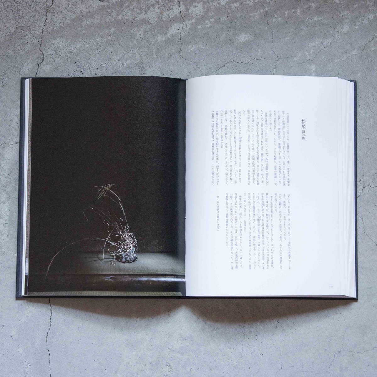 川瀬敏郎　「花をたてる」 書籍｜川瀬敏郎｜花をたてる – 青花の会｜seikashop