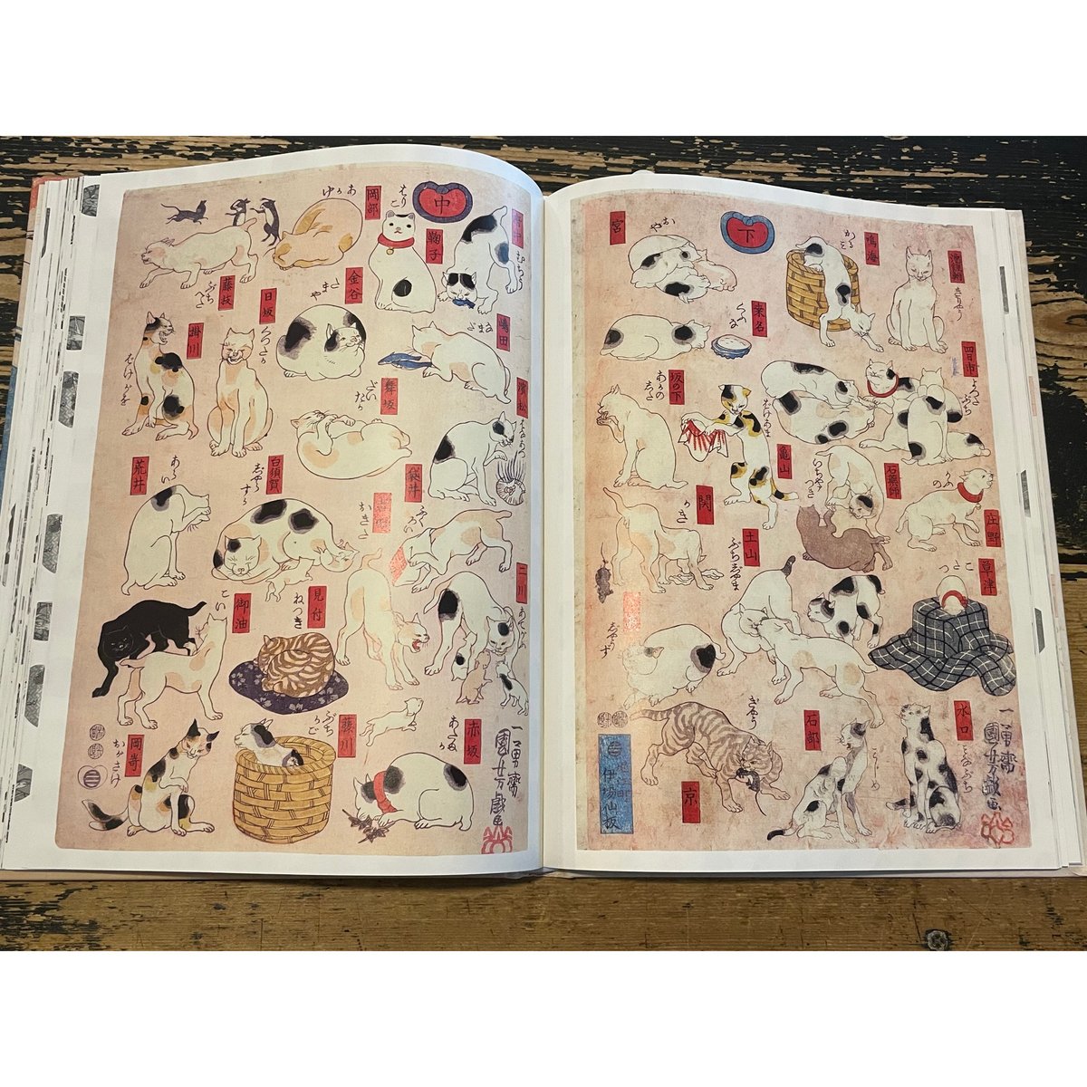 絵画「あたしはしっぽ　ボクはあたま」猫2匹赤魚 f1ddf3d6c77d57665e02fb7c9fc75c
