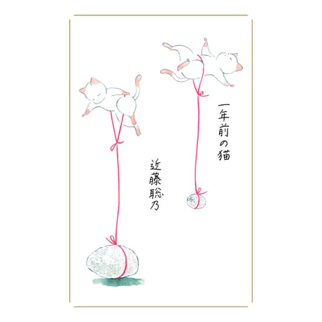 近藤聡乃 | STORES