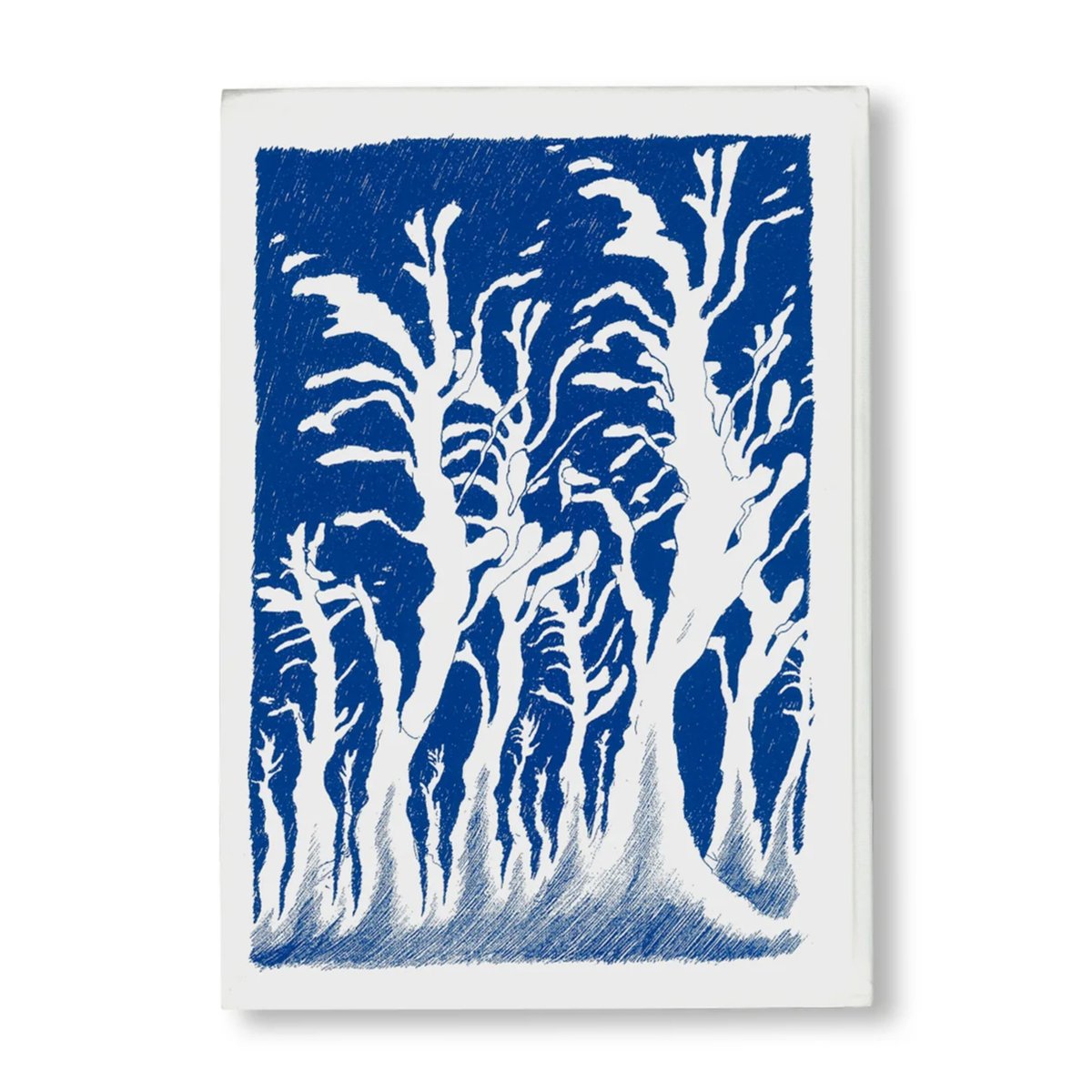 Die Wandlungen　David Weiss　ダヴィッド・ヴァイス DIE WANDLUNGEN (THE METAMORPHOSES) / ダヴィッド・ヴァイス