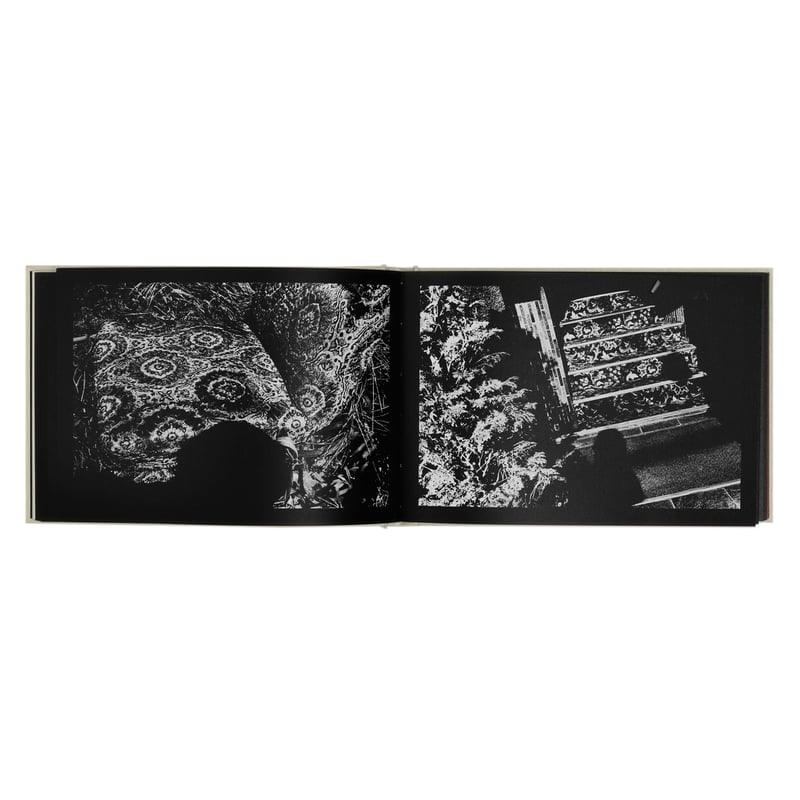 森山大道『DAIDO SLIDE』(LEFT) 【公式通販】