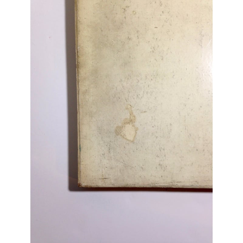 Augenblicke - Irving Penn | ホホホ座浄土寺店