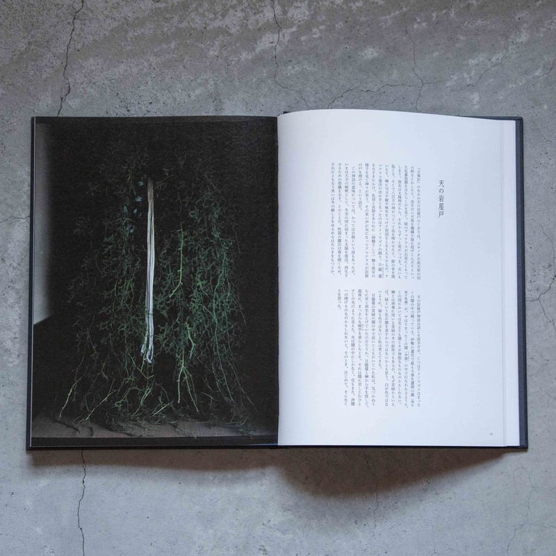 花をたてる / 川瀬敏郎 | ホホホ座浄土寺店