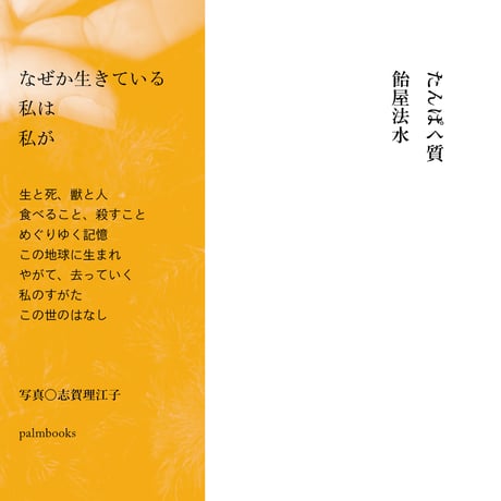 志賀理江子 | STORES