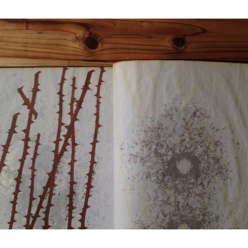 細江英公・三島由紀夫 - 薔薇刑 | ホホホ座浄土寺店