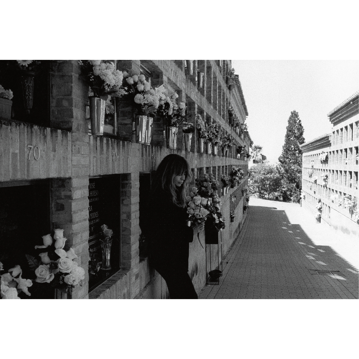 サイン本＞Lirio / 野村佐紀子 | ホホホ座浄土寺店