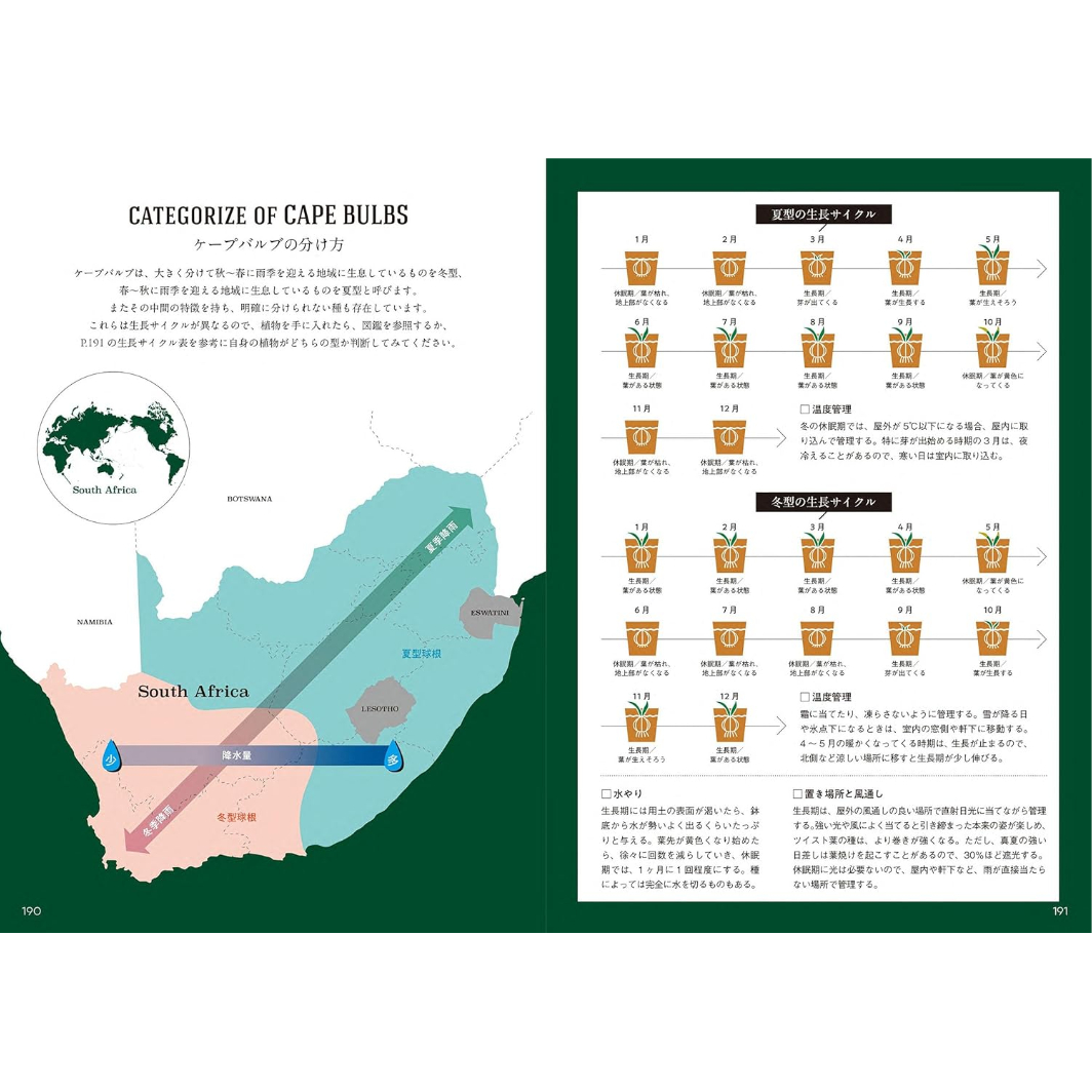 ケープバルブ図鑑 南アフリカ原産の球根植物 厳選230個体以上を掲載