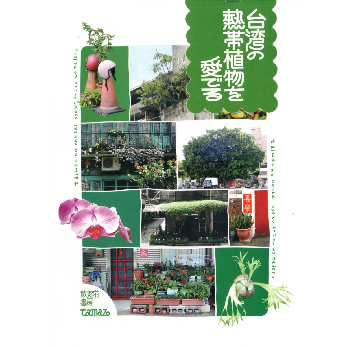 台湾の熱帯植物を愛でる / 鉄窓花書房 tamazo | ホホホ座浄土寺店