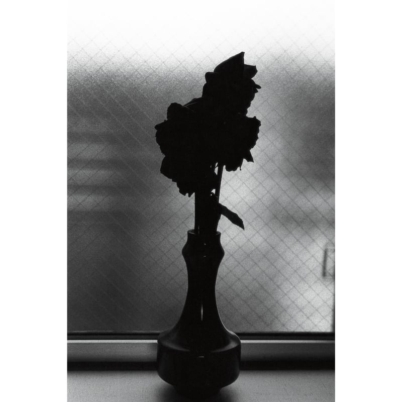 サイン本＞Lirio / 野村佐紀子 | ホホホ座浄土寺店