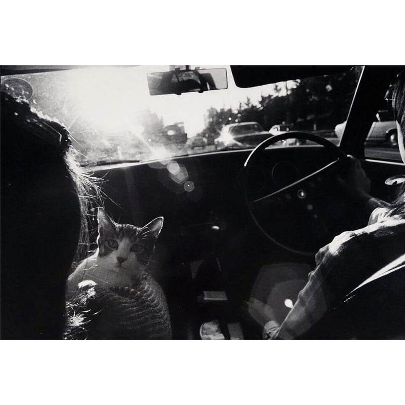 サスケ / 深瀬昌久 | ホホホ座浄土寺店