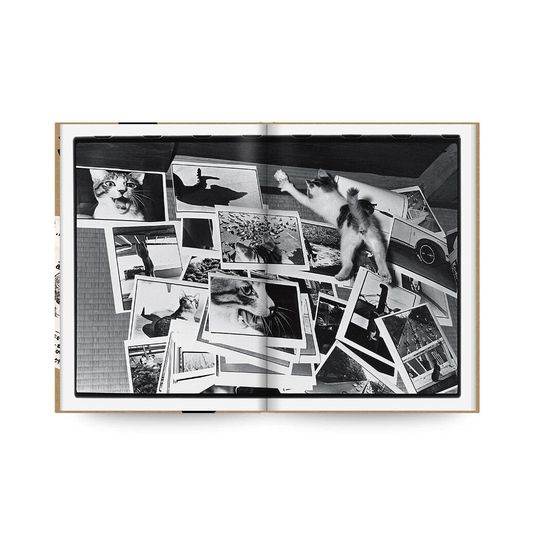 サスケ / 深瀬昌久 | ホホホ座浄土寺店