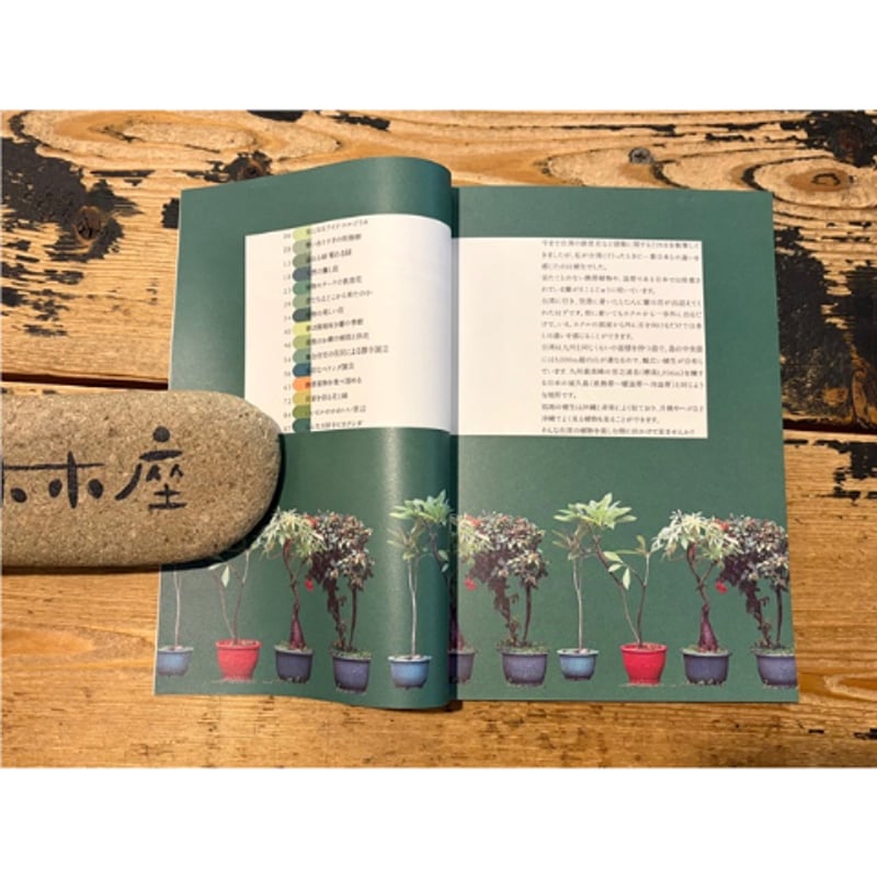 台湾の熱帯植物を愛でる / 鉄窓花書房 tamazo | ホホホ座浄土寺店