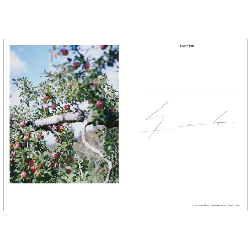 いつも世界は遠く、 / 上田義彦 | ホホホ座浄土寺店