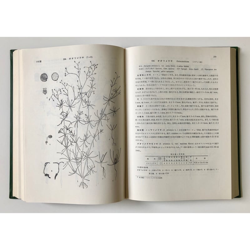 笠原安夫 - 日本雑草図説 | ホホホ座浄土寺店