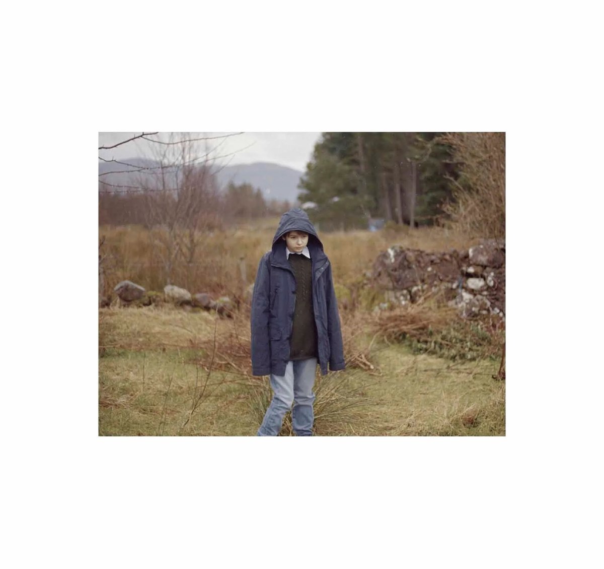 EDITH / アンジェラ・ヒル（Angela Hill） | ホホホ座浄土寺店