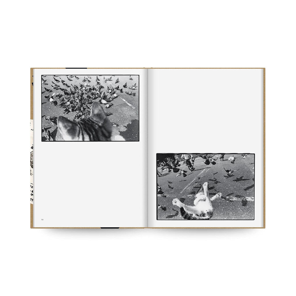 深瀬昌久　サスケ　写真　募金プロジェクトのめに制作 news-20211018masahisa-