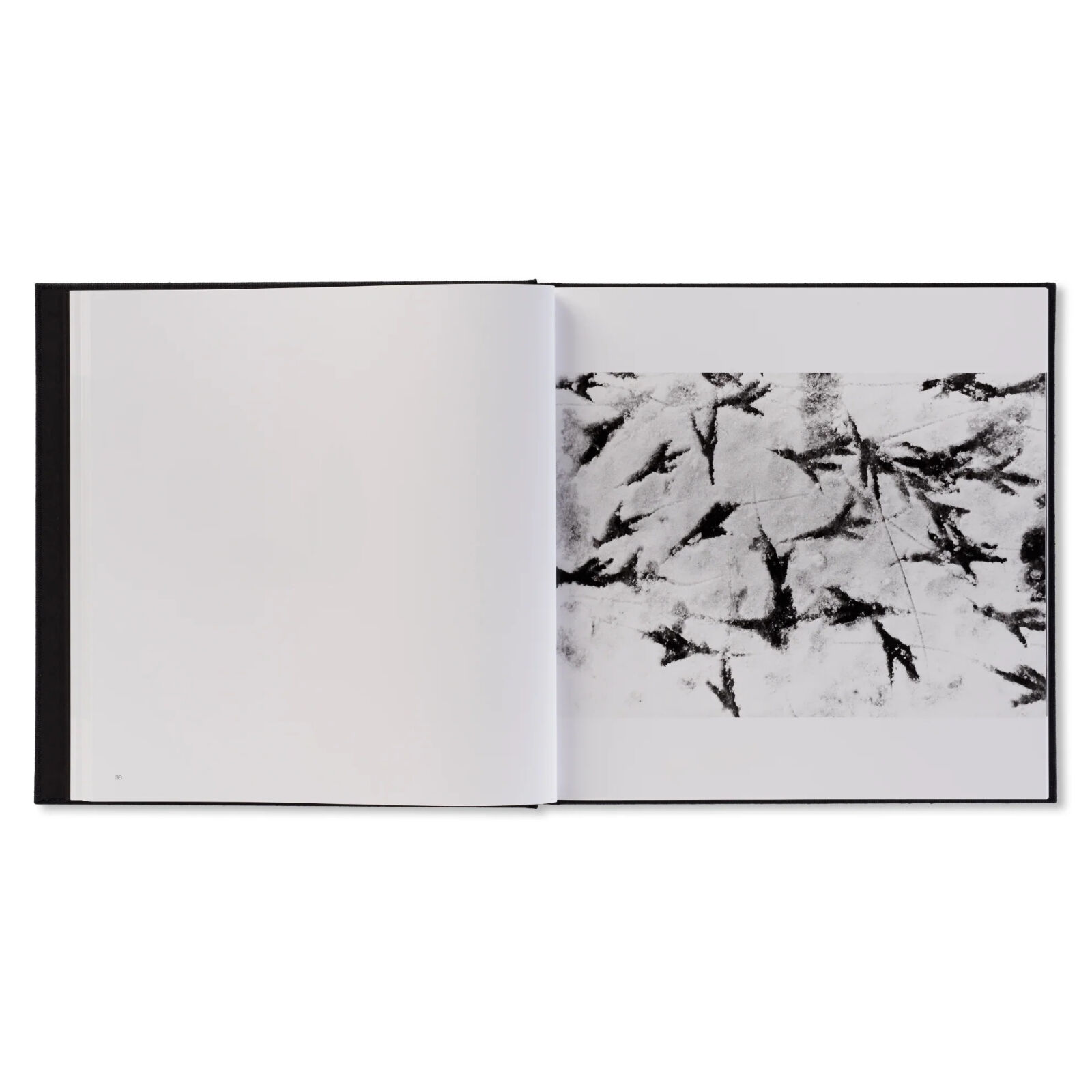 鴉（RAVENS） / 深瀬昌久 | ホホホ座浄土寺店