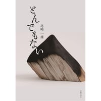 写真批評 復刊第2号 / 東京綜合写真専門学校出版局 | ホホホ座浄土寺店