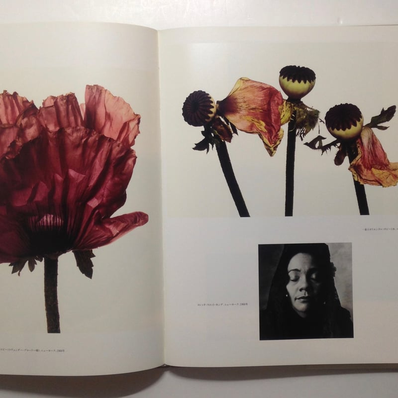 PASSAGE アーヴィング・ペン　アーヴィンペン　パッセージ アーヴィング・ペン パッセージ | アーヴィング ペン, Penn