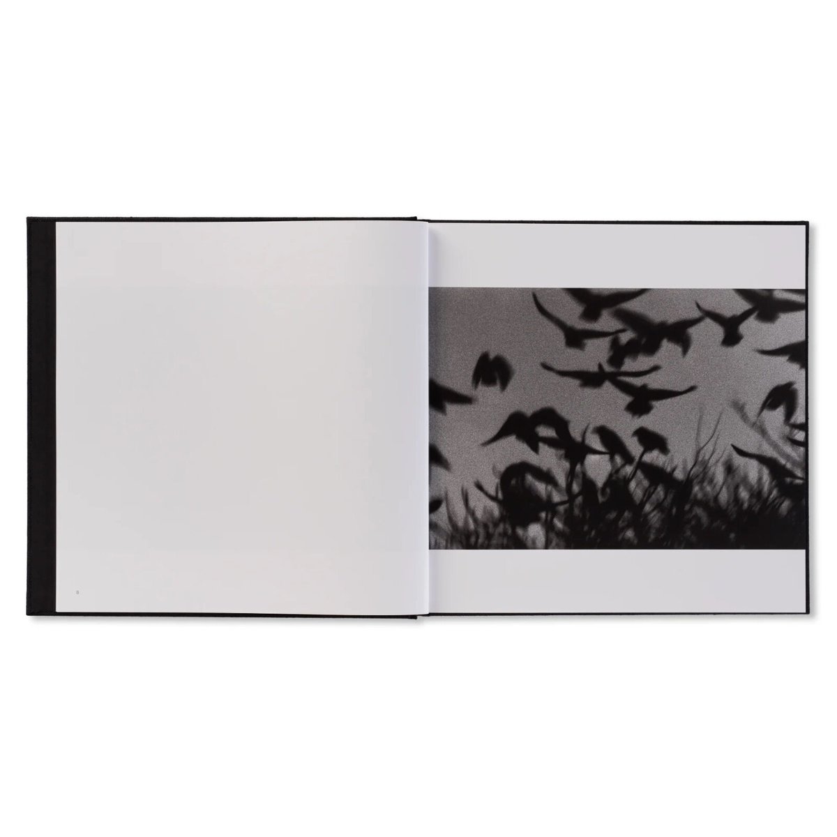 深瀬昌久「鴉- Solitude of Revens」希少 鴉（RAVENS） / 深瀬昌久 | ホホホ座浄土寺店