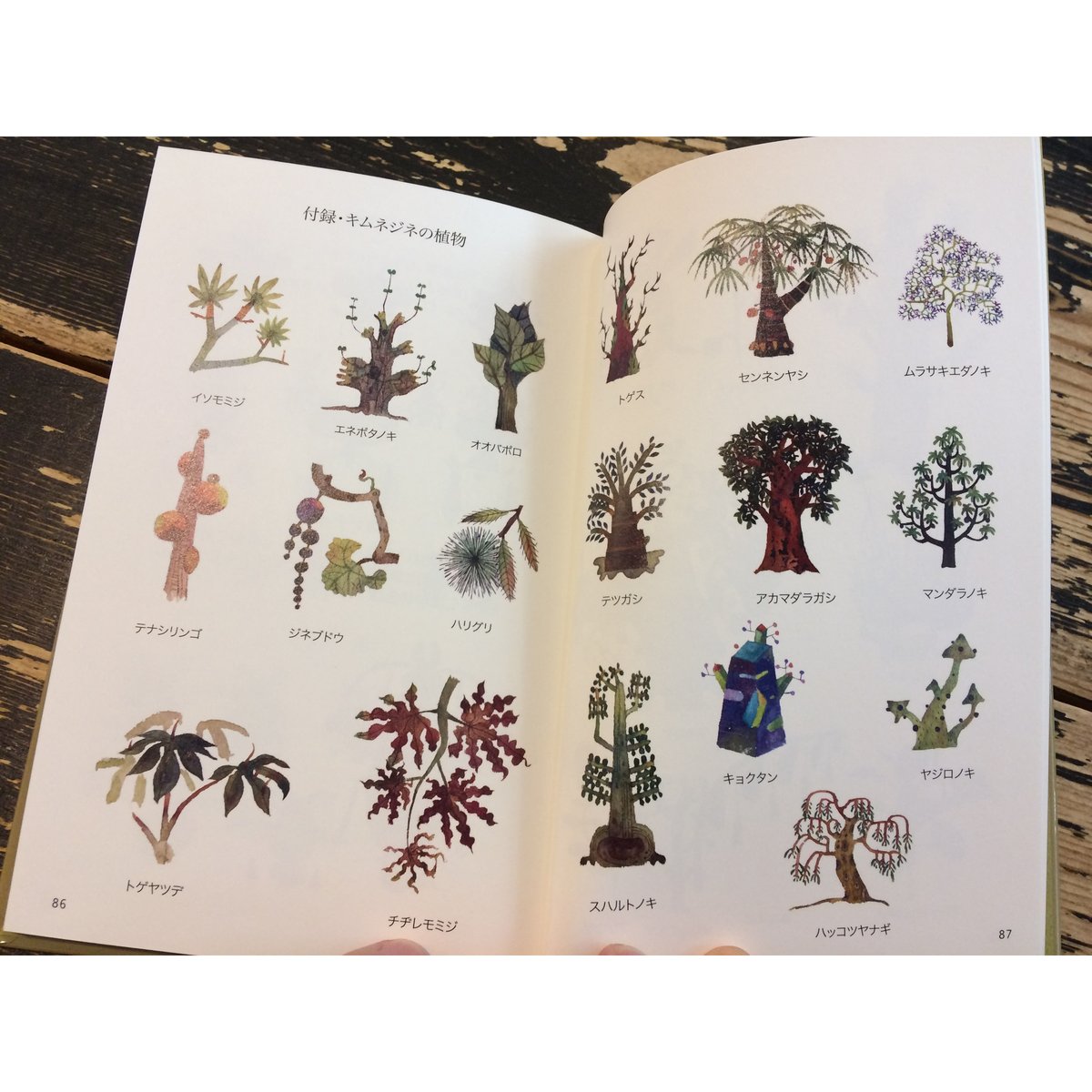 fit=scale-down,w=1200