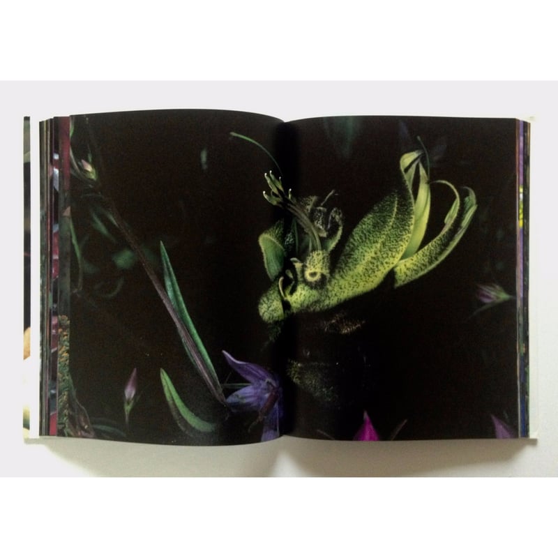 写真集「花曲」　荒木経惟 花曲 | 荒木 経惟 |本 | 通販 | Amazon