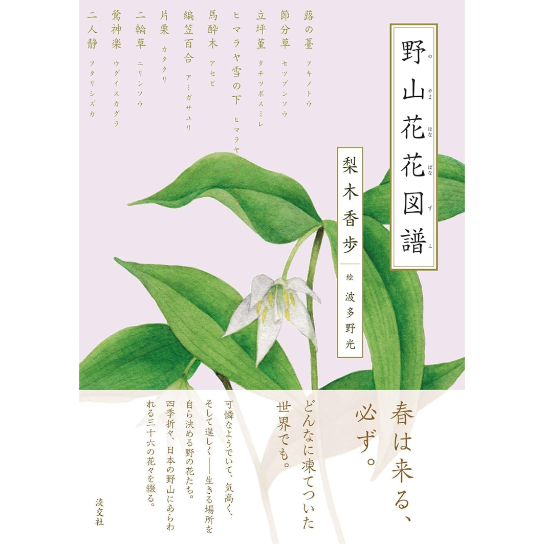 野山花花図譜 / 著：梨木香歩、イラスト：波多野光 | ホホホ座浄土寺店