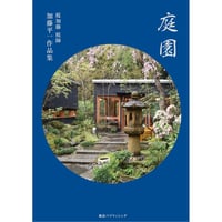 ひまわりの迷宮 中原淳一評伝 / 砂古口早苗 | ホホホ座浄土寺店