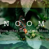 NOOM