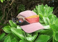 penguin flower cap