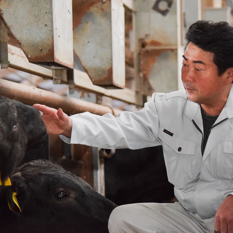 黒輪島　お膳セット 黒豚しゃぶしゃぶ特別セット / 鹿児島特産品の通販・お取り寄せ