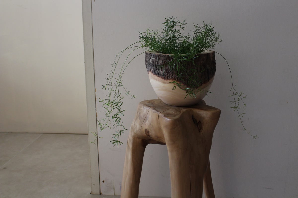 lefz-Tr-002B チュミスツール | Leaf Village