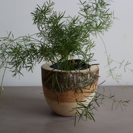 CATEGORY プランター | Leaf Village