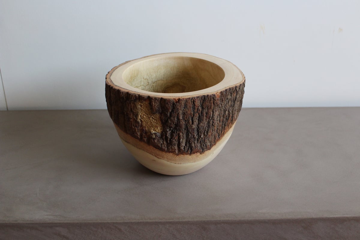 lefz-Tr-007B マンゴーツリーポット(大) | Leaf Village