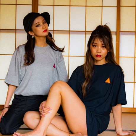 SHINGITAI T-SHIRTS/心技体　Ｔシャツ