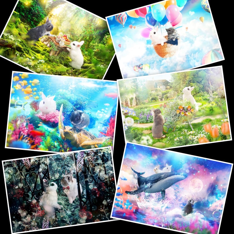 Rick Griffin /Charlatans /ポストカード 鑑定書付 Rick Griffin /Charlatans /ポストカード 鑑定書付 Rick Griffin