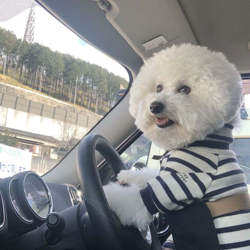 わんこカフェエプロン（黒） | 犬服ブランドアイヌーン/inun/あいぬー